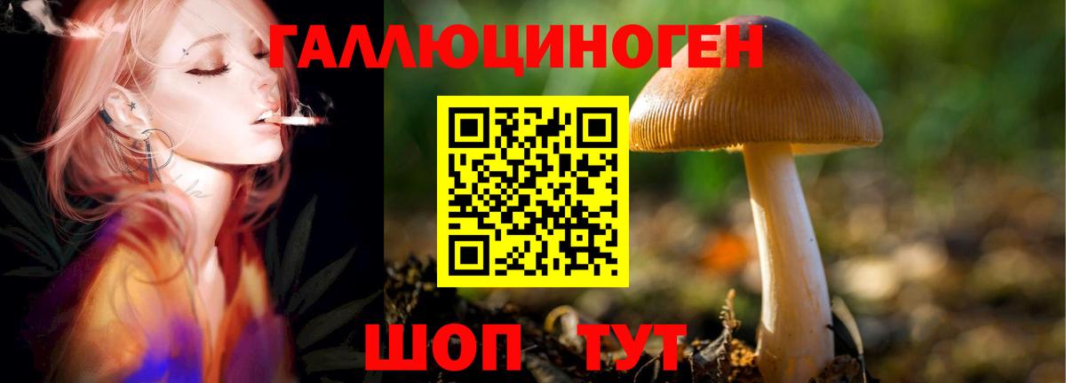 Псилоцибиновые грибы ЛСД Асбест